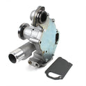 123900-42100 Water Pump for Komatsu 4TNV106 Yanmar