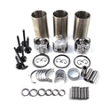 BeyongParts? D722 D722EBH D722E Engine Overhaul Rebuild Kit for Kubota Tractor Forklift Parts